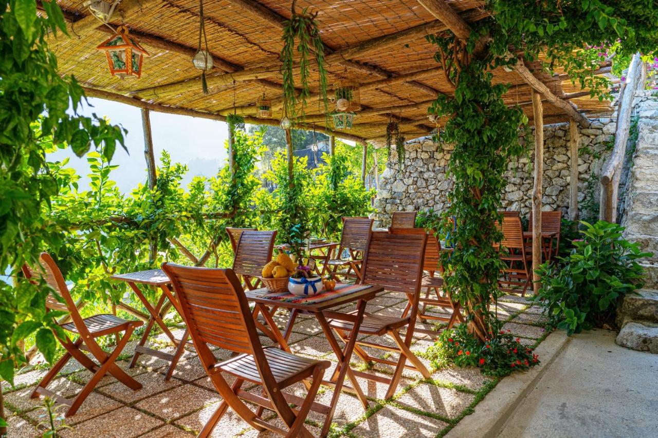 Poggio Angelarosa: Lemon Garden Stay&Relax Scala Exterior foto